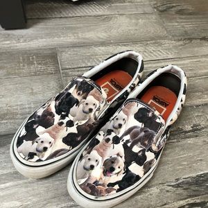 DOG VANS